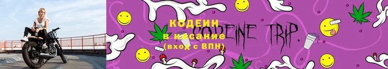 купить наркотик  Аргун  Кодеин Purple Drank 